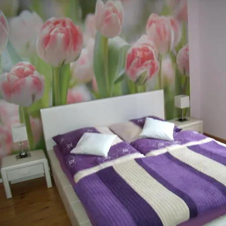 Nad Lomniczka Appartamento *