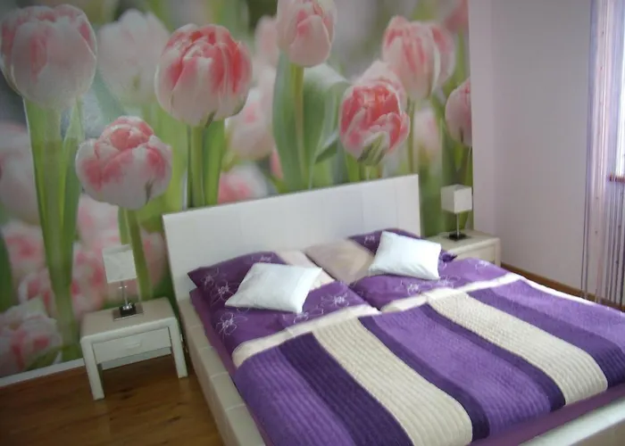 Nad Lomniczka Appartement *